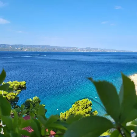Gigo Blue *